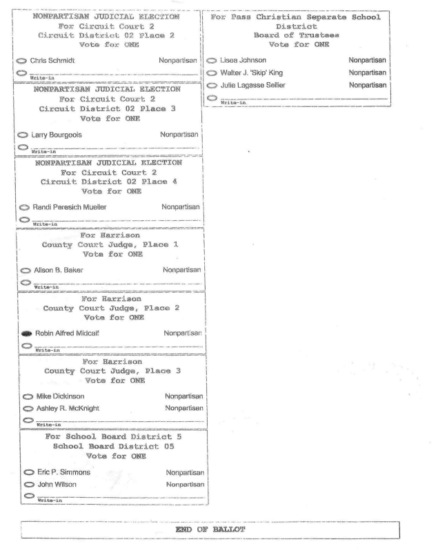 Harrison County sample ballot, page two, with Rip’s picks marked